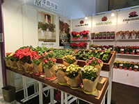 《相约北京》- 华鼎农业参与中国国际花卉园艺展览会（W1C19-2）